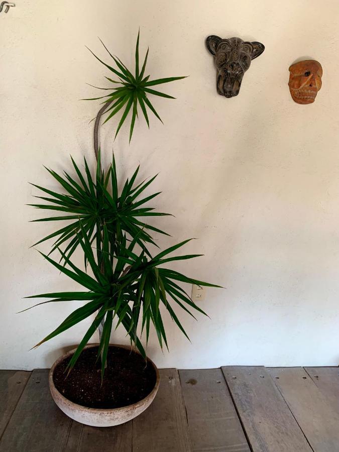 Lo Nuestro Petit Hotel Tulum Exterior foto